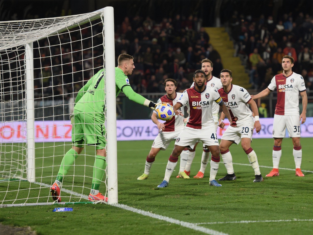 若他能披上 若他能披上